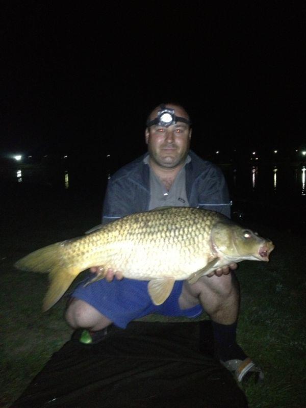 pestisori de aur - img-20130502-wa0002.jpg